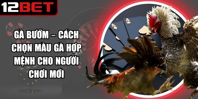 Bí quyết chọn màu chân gà bướm để nâng cao khả năng thắng trên sàn đấu